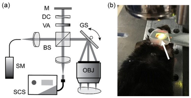 Fig. 1