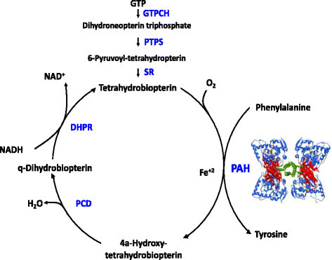 Fig. 1