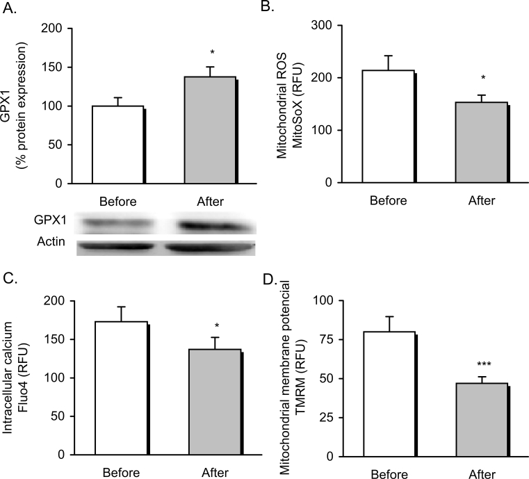 Figure 3