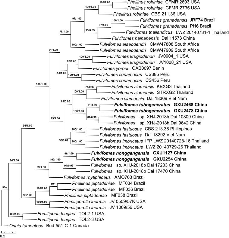 Figure 2.