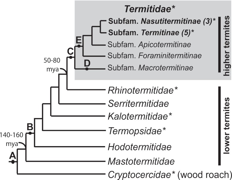 FIG 1 