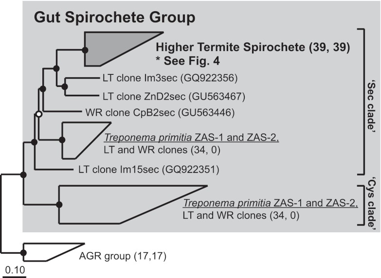 FIG 3 