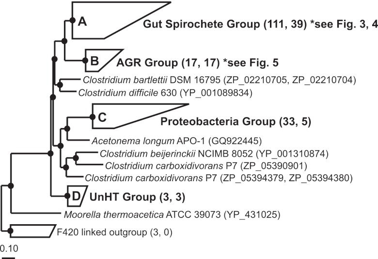 FIG 2 