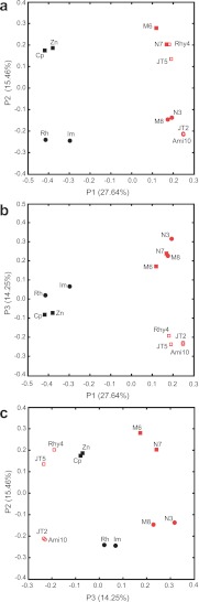 FIG 6 