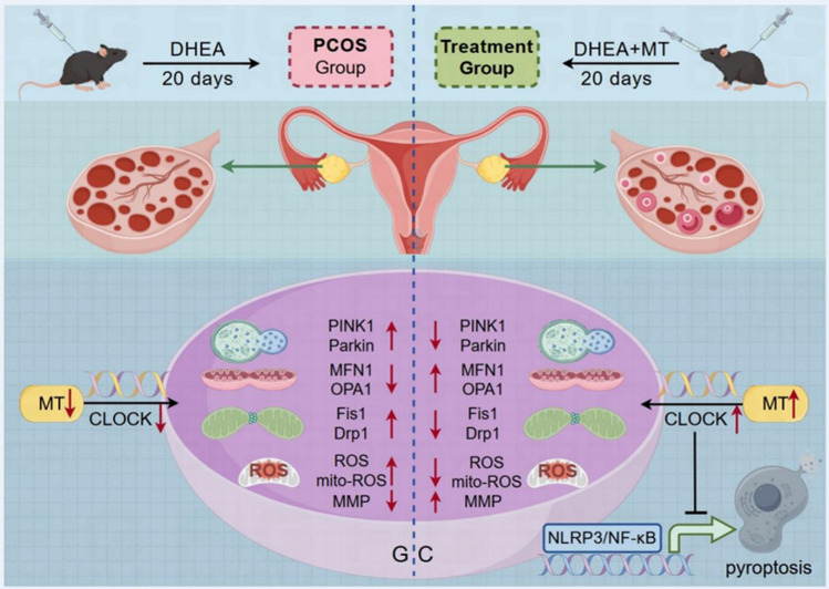 graphic file with name 18_2025_5609_Figa_HTML.jpg