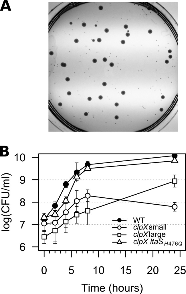 FIG 2 