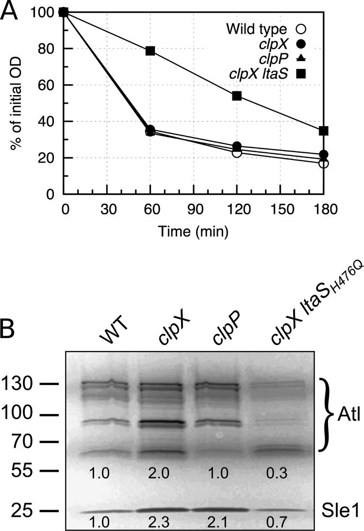 FIG 6 