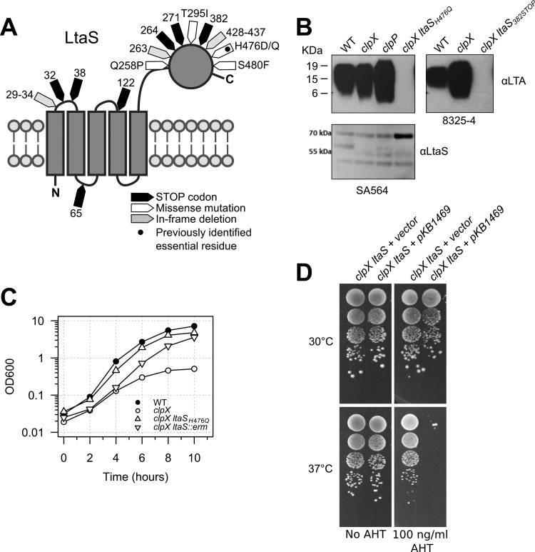 FIG 3 