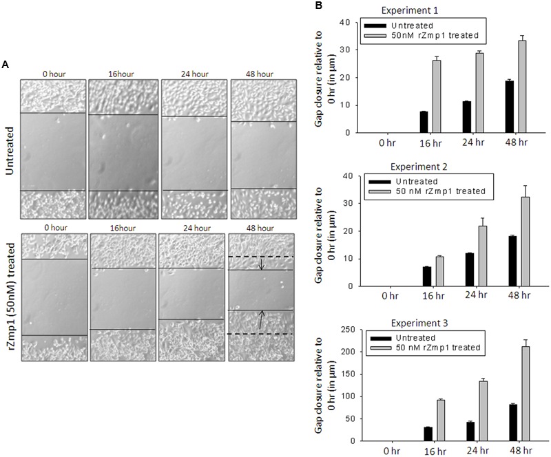 FIGURE 3