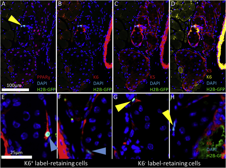 Figure 3