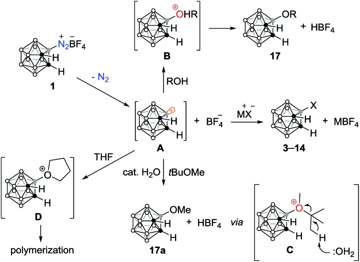 Scheme 3