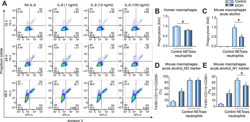 Figure 4: