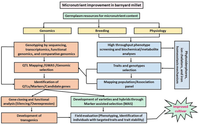 FIGURE 6