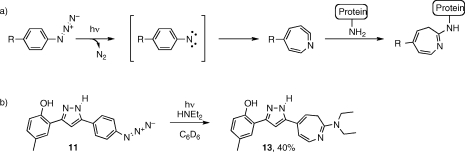 Scheme 2