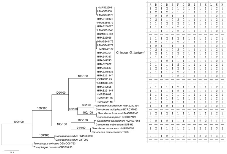 Figure 5