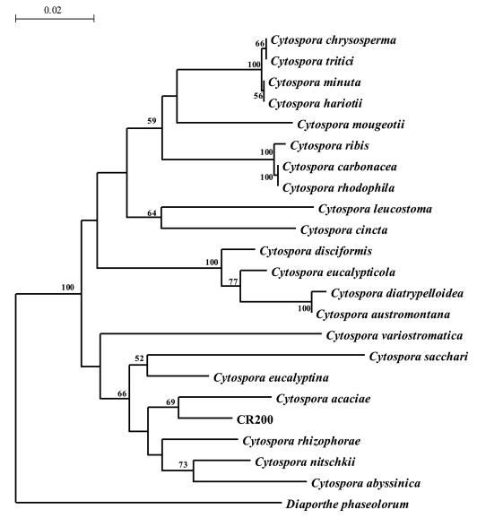 Figure 2a