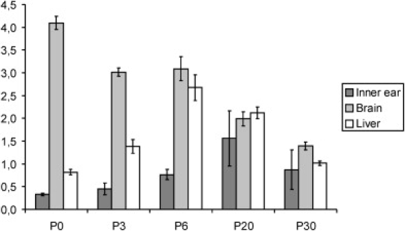 Figure 5