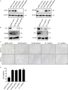 FIG 5