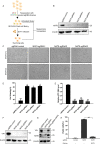 FIG 1