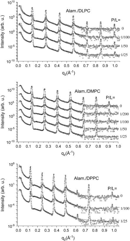 FIGURE 3