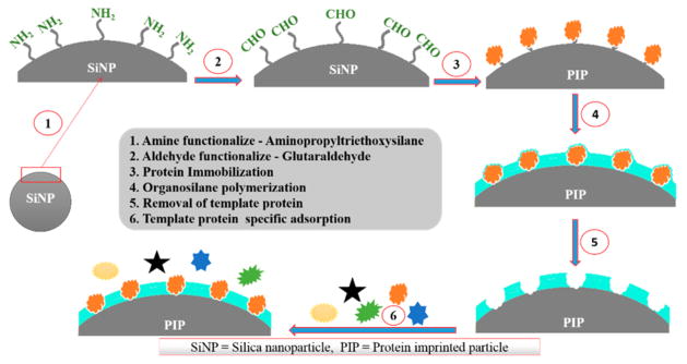 Scheme 2