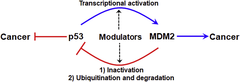 Figure 2