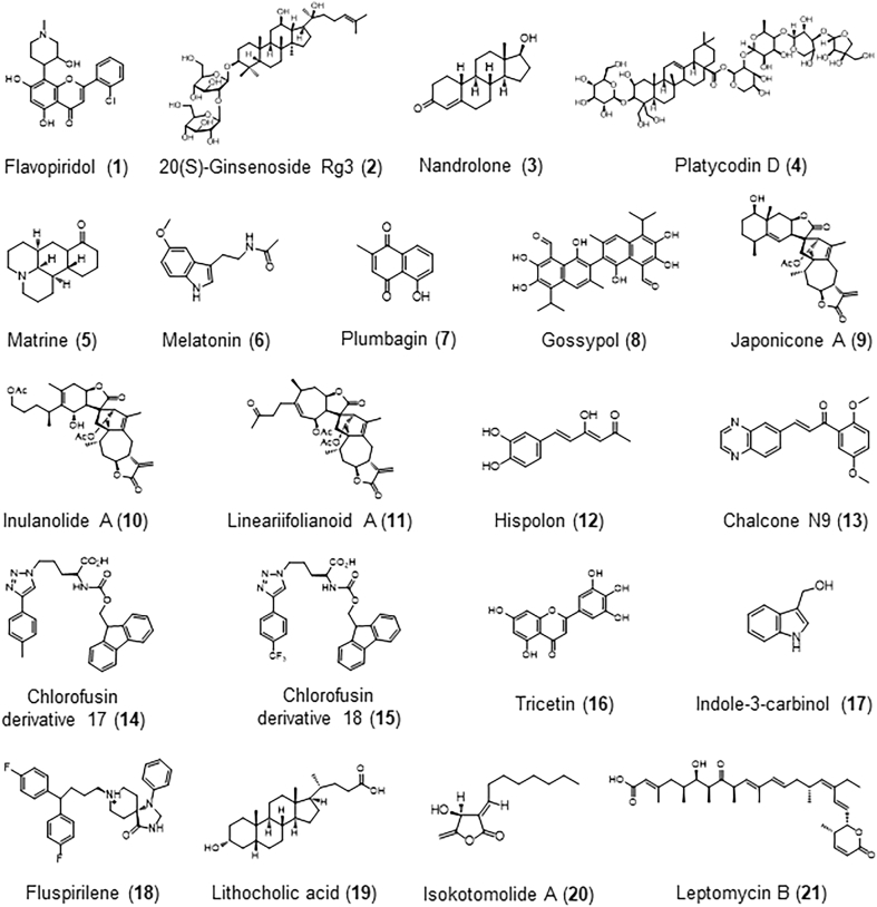 Figure 3