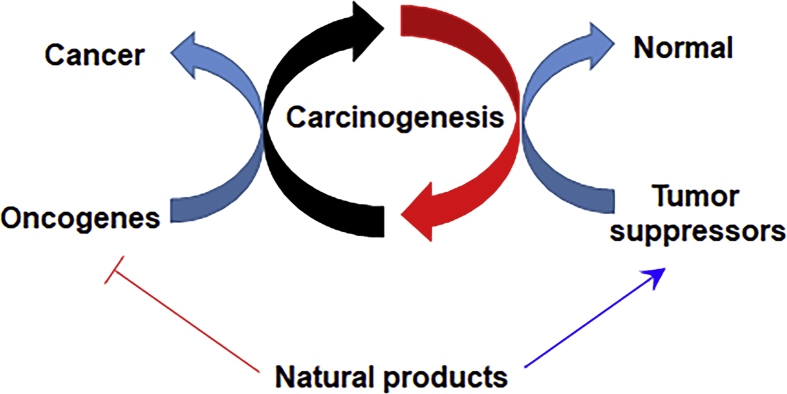 Figure 1