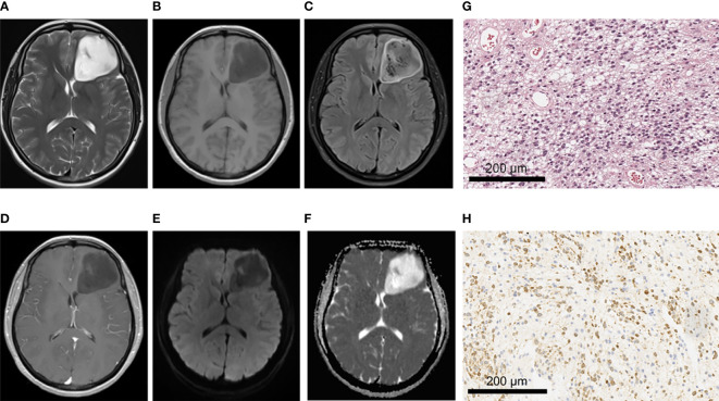 Figure 4