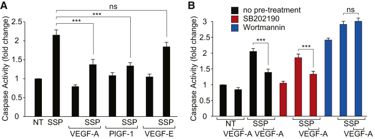 Figure 6