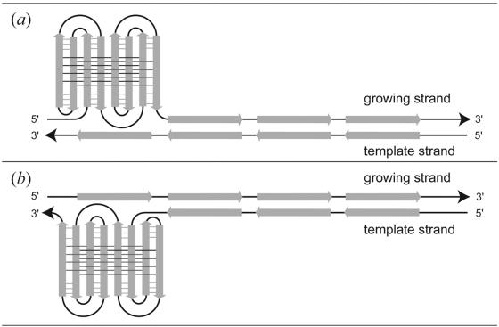 Figure 8