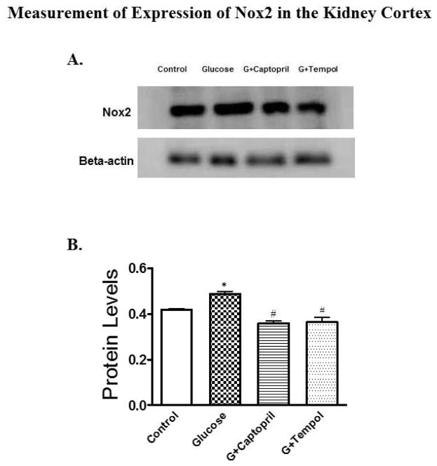 Fig 7