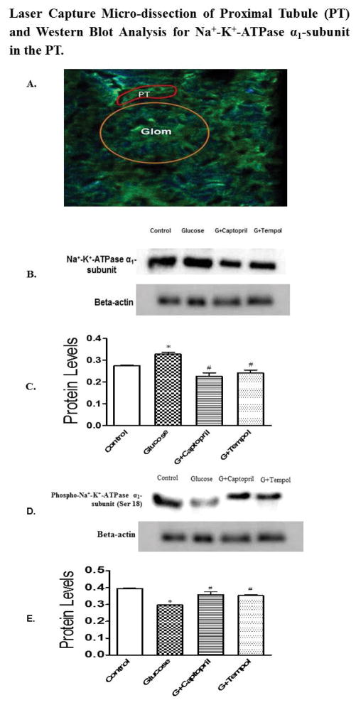 Fig 9