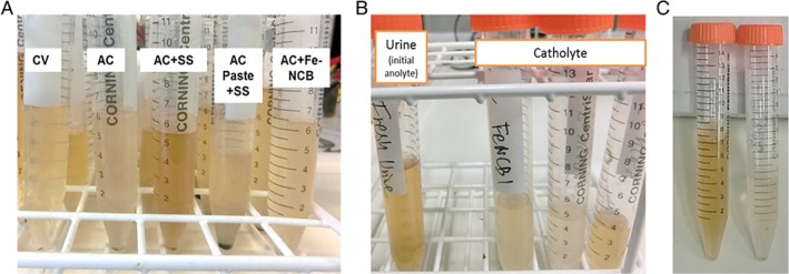 JCTB_5792-FIG-0008-c