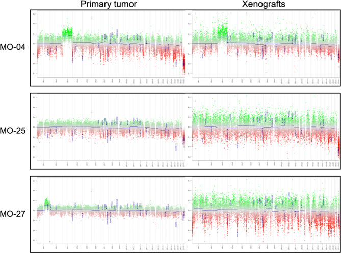 Fig. 7