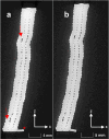 Fig. 8