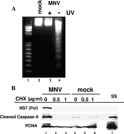 FIG. 5.