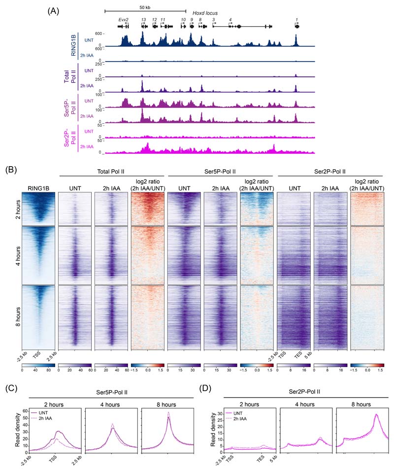 Extended Data Fig. 5