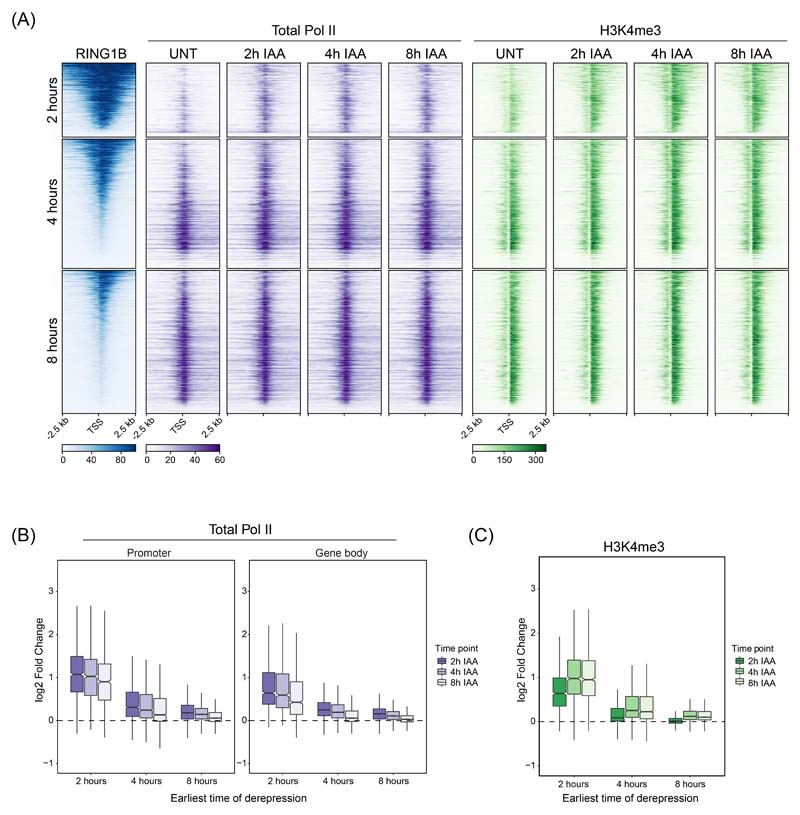 Extended Data Fig. 4