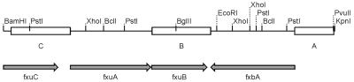 FIG. 1