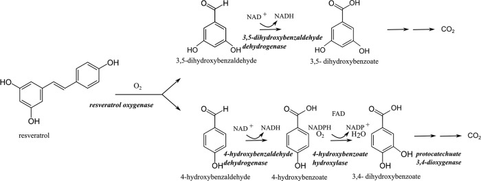 FIG 6