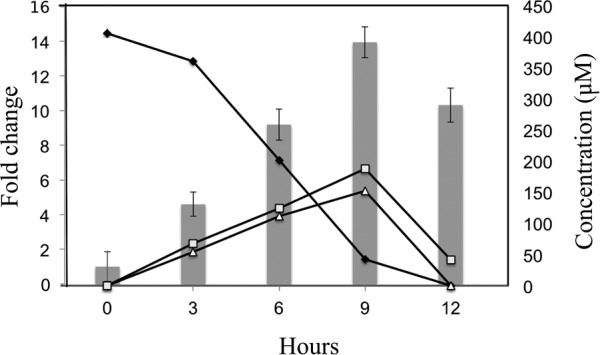 FIG 5