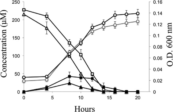 FIG 2