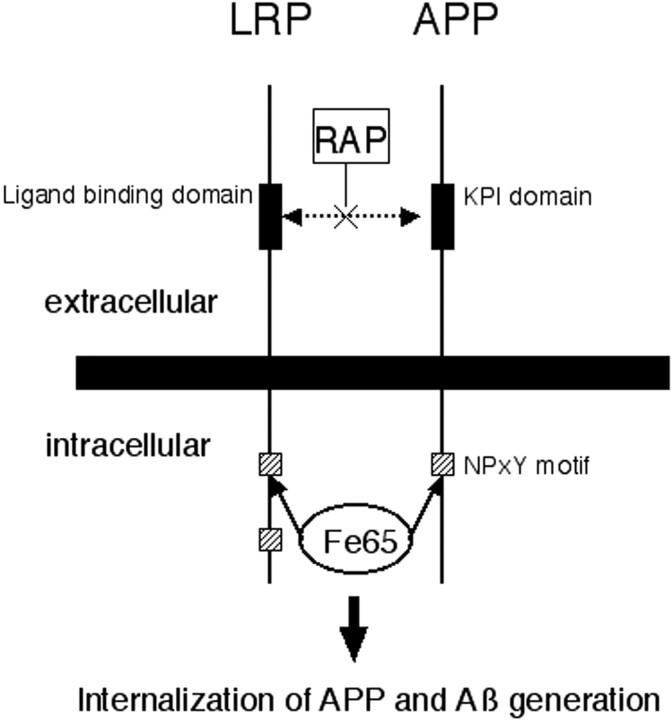 Fig. 8.