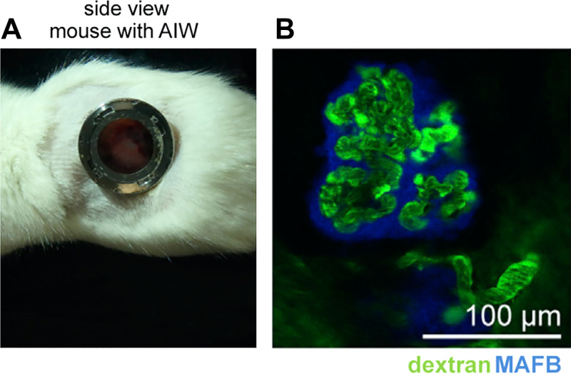 Figure 4.