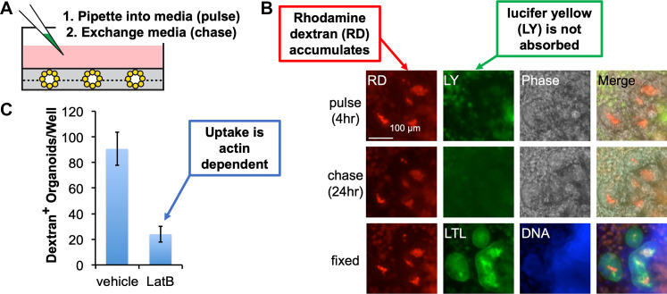 Figure 2.