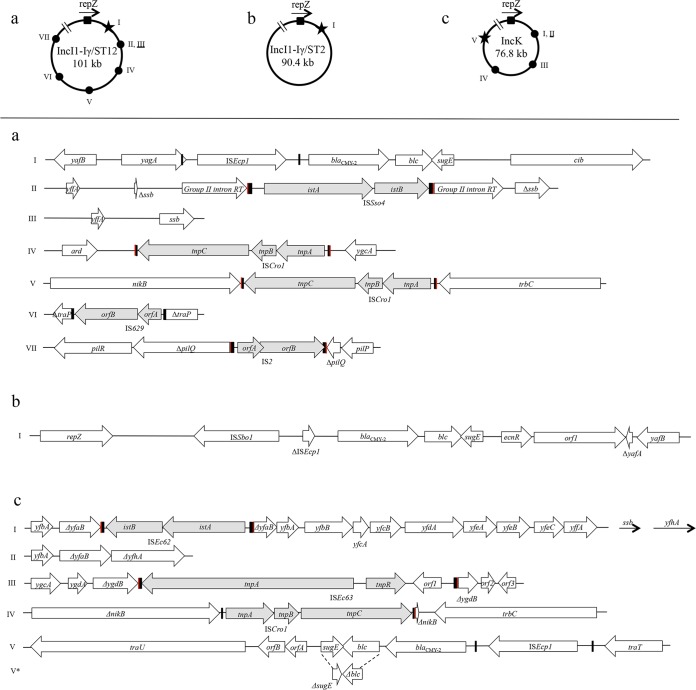 FIG 3