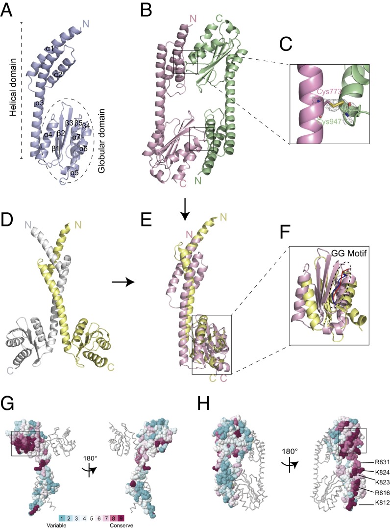 Fig. 2.