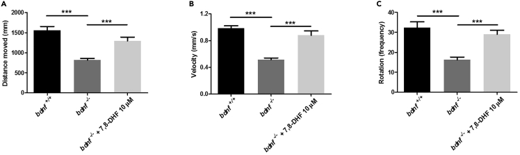 Figure 3