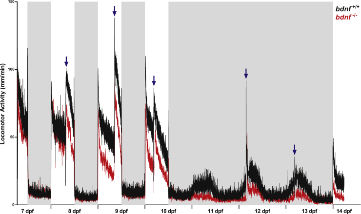 Figure 6